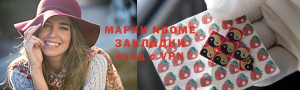 мдпв Вяземский