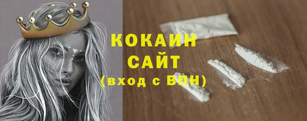 мдпв Вяземский