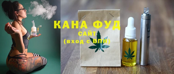 мдпв Вяземский