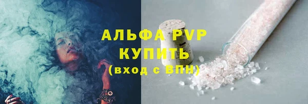 мдпв Вяземский