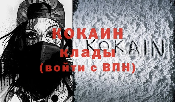 мдпв Вяземский