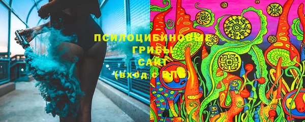 мдпв Вяземский
