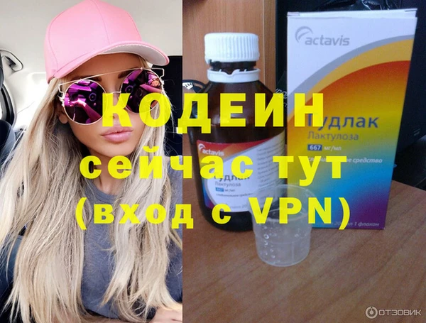 мдпв Вяземский